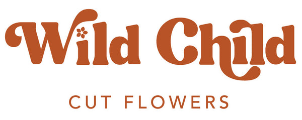 Wild Child Cut Flowers